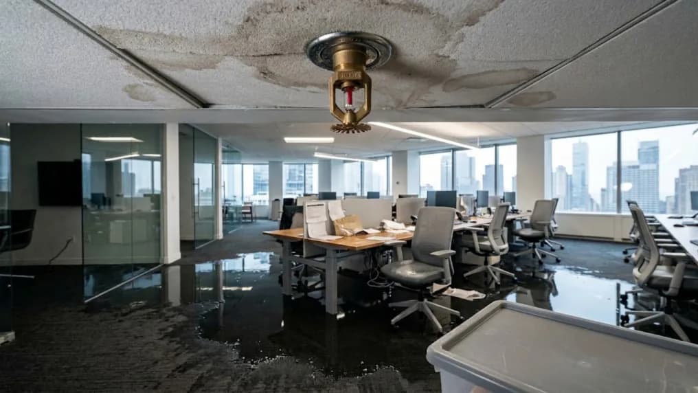 Water pooling across an office floor beneath a discharged ceiling sprinkler head