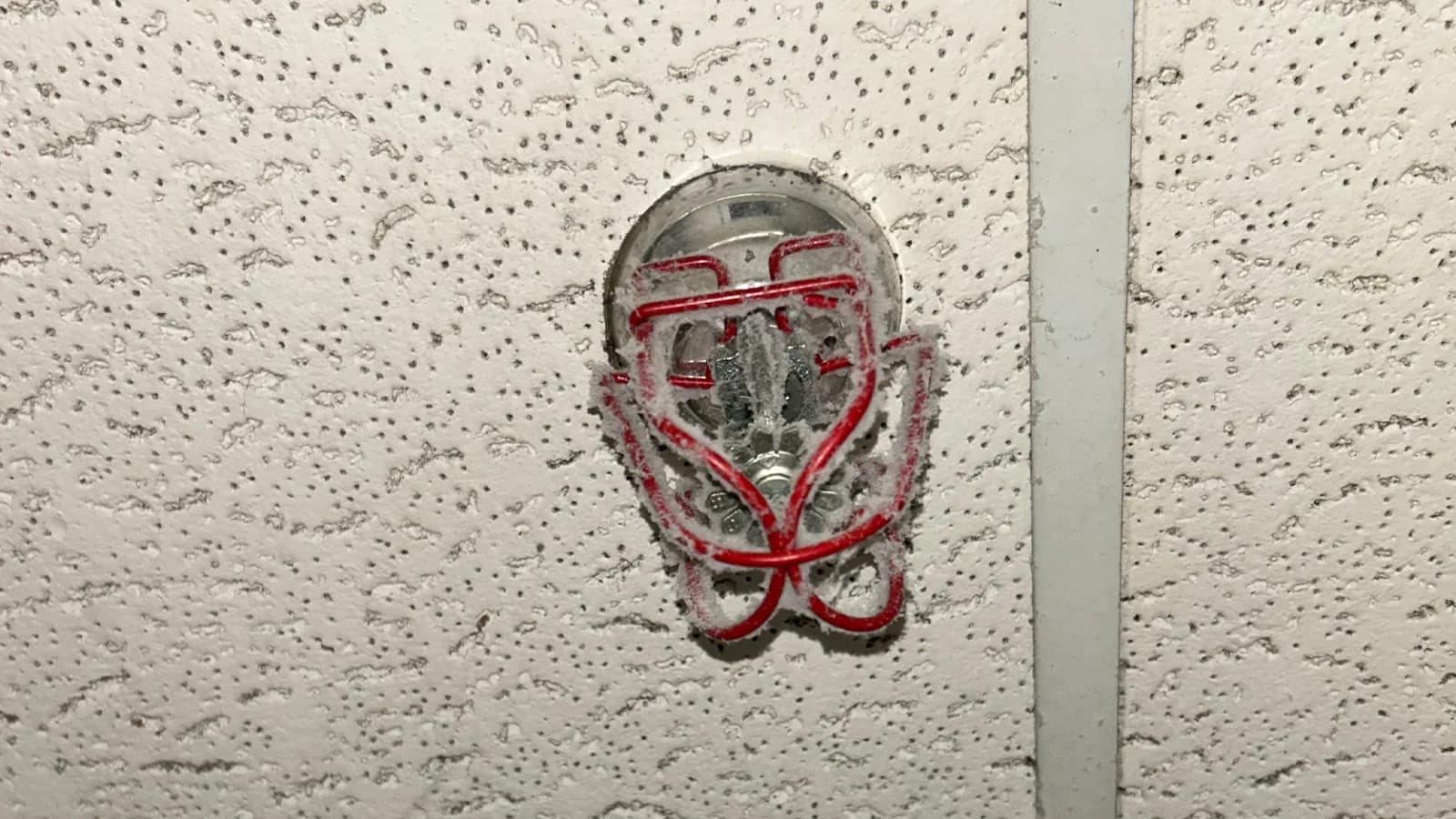 Heavy dust loading on a recessed pendent sprinkler head, a condition that requires replacement rather than cleaning